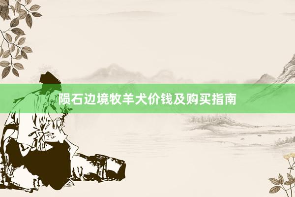 陨石边境牧羊犬价钱及购买指南